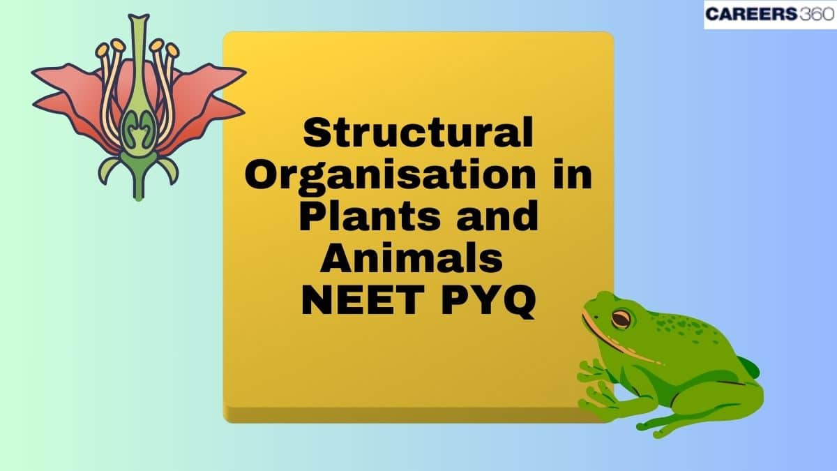 Structural Organisation in Plants and Animals - NEET Biology Previous Year Questions (2021-2025)